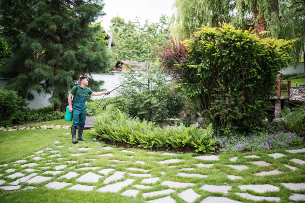 Wasp Removal Services in Black Canyon City, AZ