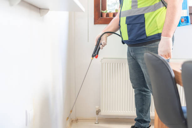 Best Flea Control Services  in Black Canyon City, AZ