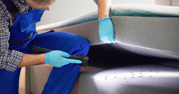 Best Exterminator Services  in Black Canyon City, AZ
