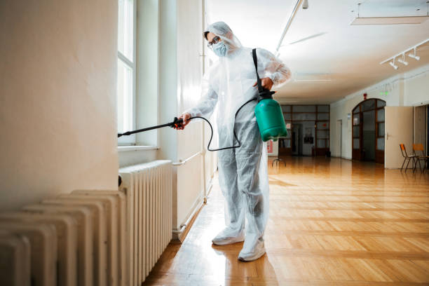 Flea Control Services in Black Canyon City, AZ